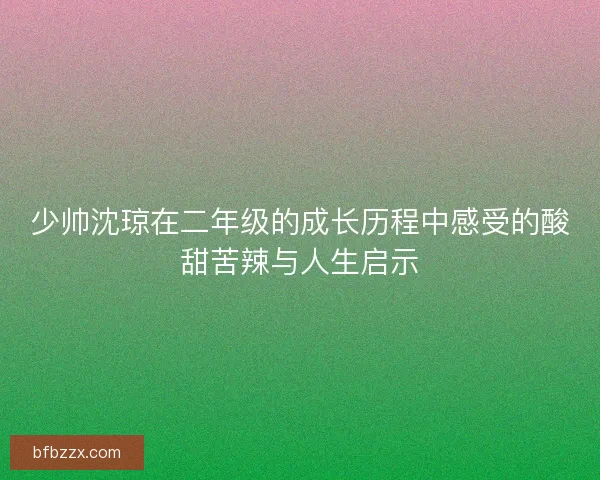 少帅沈琼在二年级的成长历程中感受的酸甜苦辣与人生启示